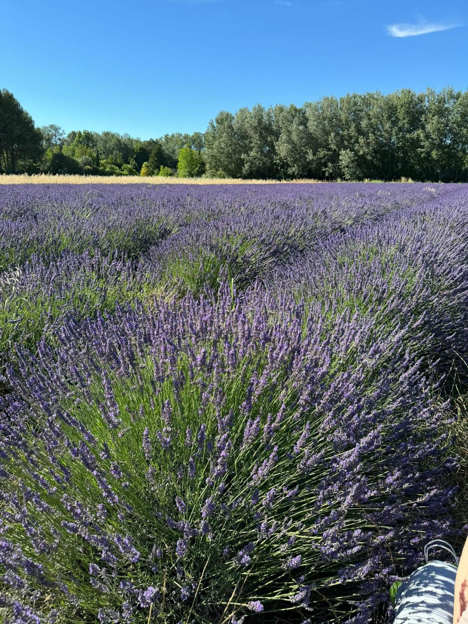 Appartement Neuf Et Au Calme Proche Avignon Альтан-де-Палюд Екстер'єр фото